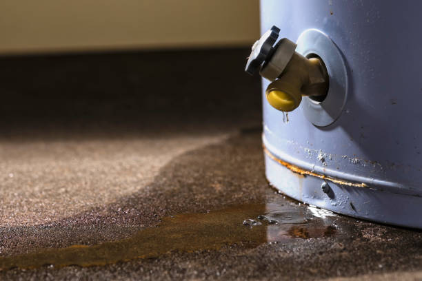 Best Water damage contractors near me  in Minneola, FL
