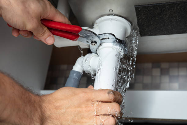 Best Ceiling water damage repair  in Minneola, FL