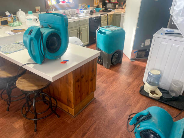Best Fire Damage Restoration  in Minneola, FL