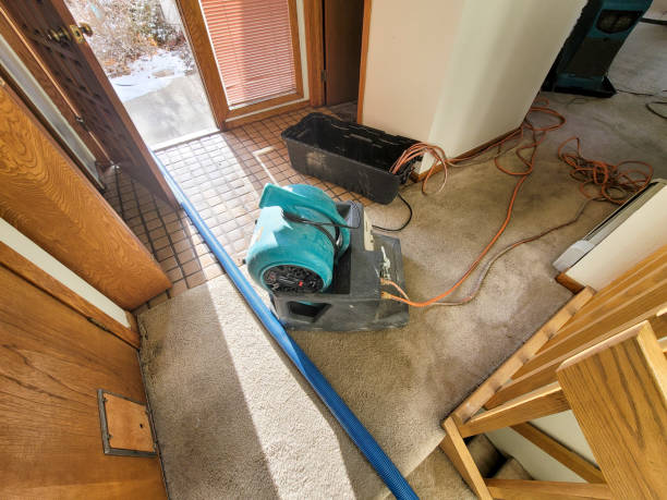 Best 24-hour water damage restoration  in Minneola, FL