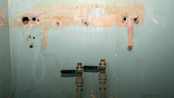 Best Water damage restoration services  in Minneola, FL