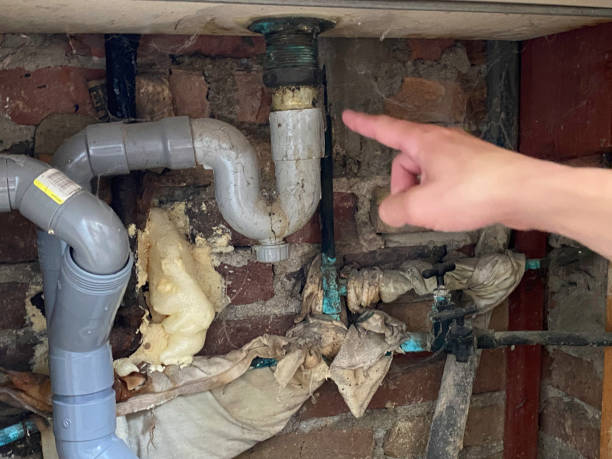 Fire Damage Restoration in Minneola, FL