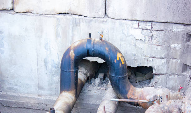 Best Carpet water damage restoration  in Minneola, FL