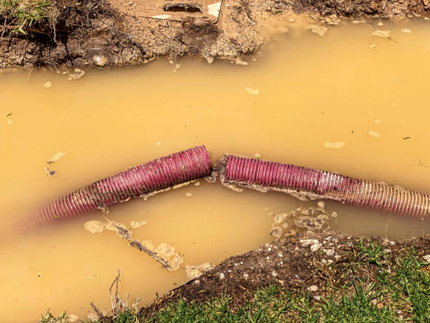 Best Emergency water damage restoration  in Minneola, FL