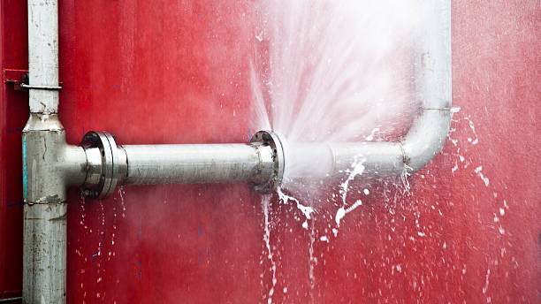 Best Flood damage cleanup  in Minneola, FL